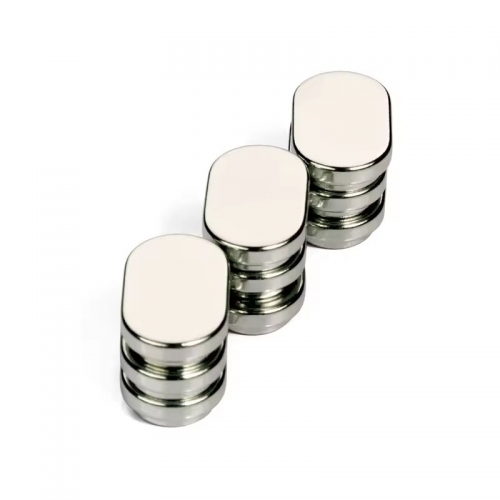 Custom Neodymium Oval Magnet